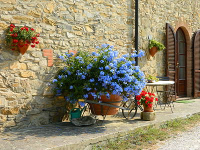 Bild 11 aus  Toscana Ferienhaus Podere di Gualda