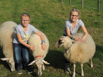 Bild 9 aus  Ferienhof Gröne