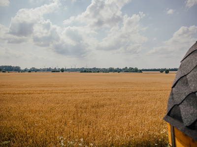 Bild 18 aus  Hof Osterholz