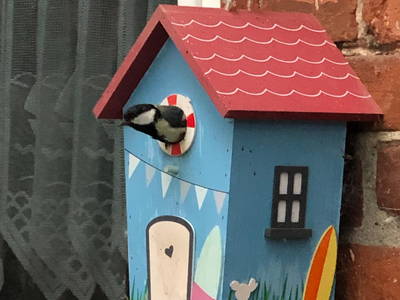 Bild 94 aus  Ostsee Ferienhof Kluvetasch