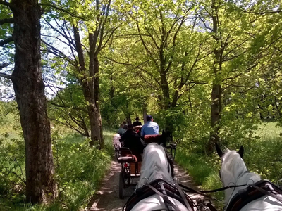 Bild 11 aus  Erlebnishof am Kordigast