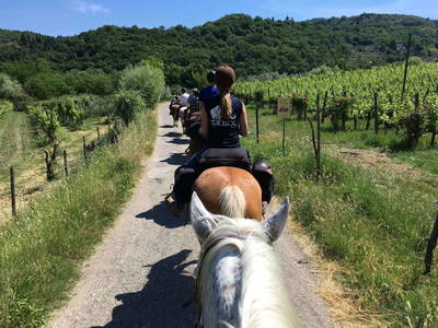 Bild 38 aus  Casa Bivignano