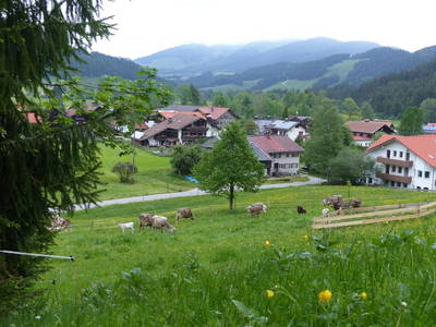 Bild 8 aus  Erlenhof