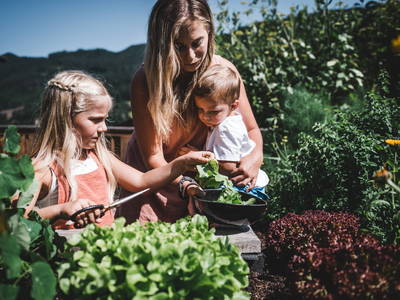 Bild 15 aus  LandSelection Proneben Gut