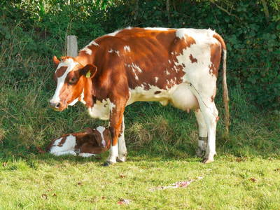 Bild 8 aus  Grünberger Hof