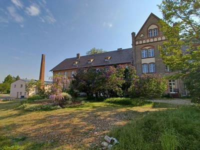 Bild 3 aus  Kunstgut Krahne