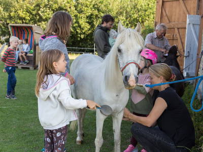 Ponyreiten 2 x die Woche