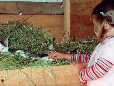 Bild 13 aus  Jodlhof Kochel am See