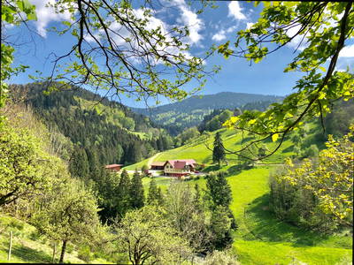 Bild 2 aus  Bierpeterhof