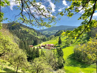 Bierpeterhof aus Bad Peterstal-Griesbach