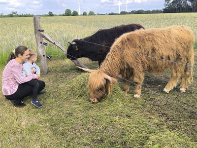 Bild 25 aus  Ferienhof Wegmann