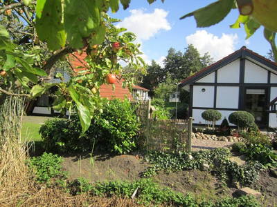 Bild 16 aus  Feriendorf Altes Land Verwaltungsgesellschaft mbH