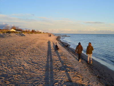 Bild 11 aus  Ferienhof Kruse