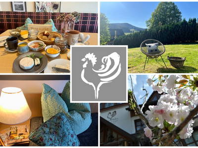 Bild 24 aus  Goldener Hahn - Hyggeliges Aparthotel mit Frühstücksbuffet, Pool & Sauna