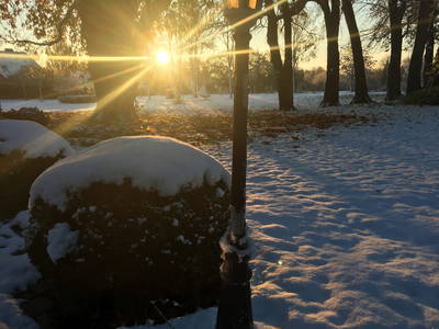 Bild 55 aus  Gut Friederikenhof