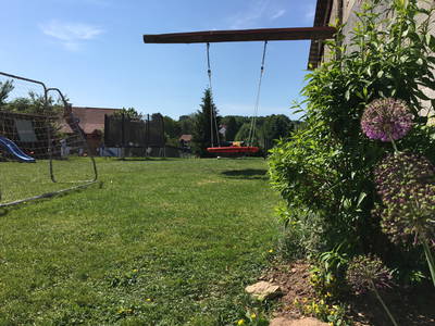 Bild 24 aus  Ferienhof Morich Harz