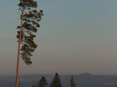 Bild 19 aus  Pension Baarblick