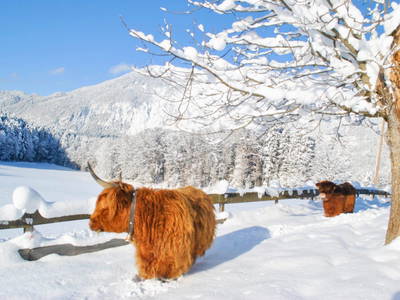 Bild 11 aus  Ferienheim Riedhof