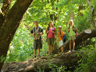 Bild 42 aus  Untersüßgut & Almidylle