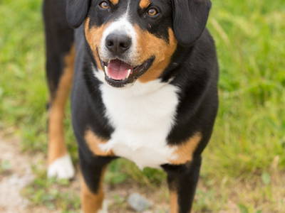 Bild 23 aus  KnallerbsenHof