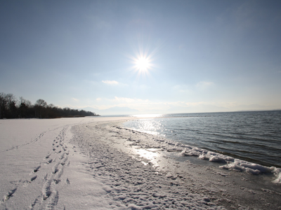 Bild 12 aus  Luginger Hof