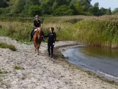 Bild 4 aus  Bernsteinreiter Barth