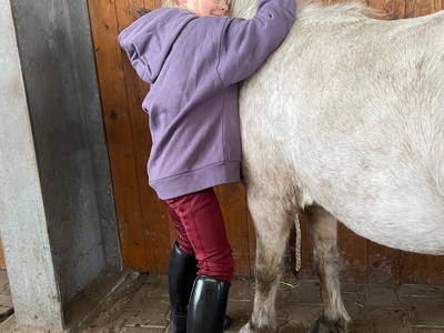 Bild 7 aus  Ponyhof Goldenstein