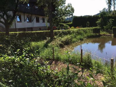 Bild 3 aus  Ferienpension-Bauernhof Mattenhof