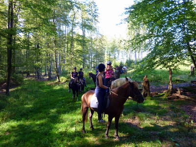 Bild 36 aus  Landhotel-Ferienhof Schneider
