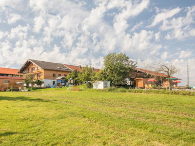 Bild 69 aus  Auf'm Reifnhof: Ihr Kreativhof am Simssee im Chiemgau