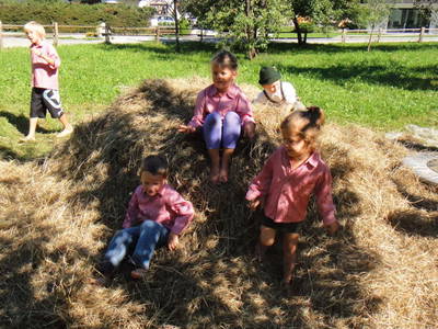 Bild 5 aus  Sonnenappartement