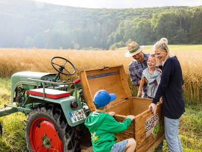 Bild 17 aus  An Webers Stoag