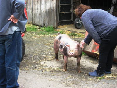 Bild 12 aus  Ferienhof Vennhof