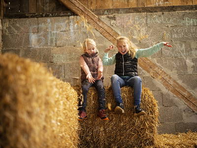 Bild 10 aus  Ferienhof Schade