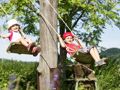 Bild 5 aus  Demeterhof Dünninger