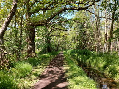 Bild 16 aus  Ferienhof Falk