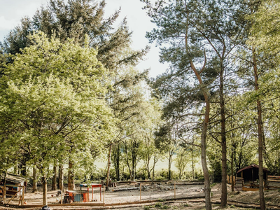 Bild 3 aus  Naturerlebnishof Vulkaneifel