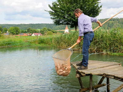 Bild 22 aus  Ferienhof  Schmidtner