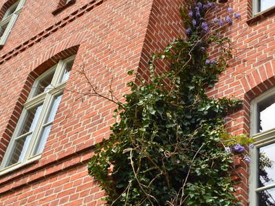 Bild 12 aus  An Den Wiesen - Gasthaus am Finowkanal