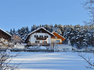 Bild 24 aus  Weberhof - Biobauernhof