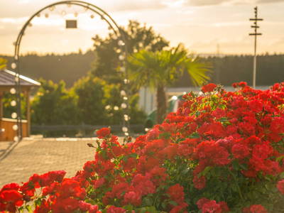 Bild 15 aus  Ferienwohnungen Wagner