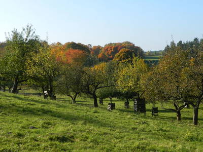 Bild 22 aus  Behringhof am Gamengrund