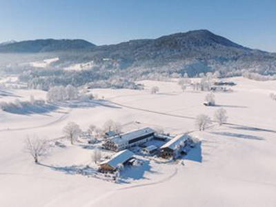 Bild 25 aus  Hof Gottenau