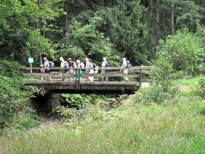 Bild 27 aus  Mühlenhof Seyde