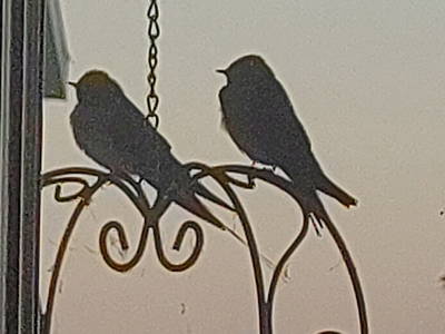 Bild 20 aus  Bioland - Bauernhof Andreßen