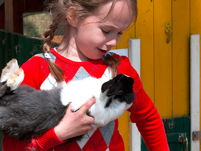 Bild 11 aus  Inselcamp Rügen