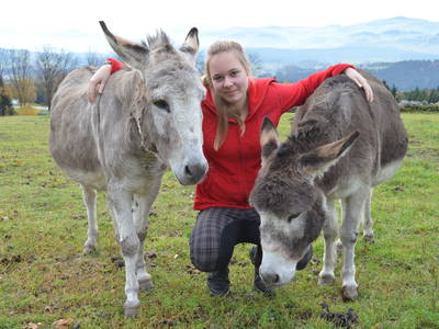 Bild 6 aus  Erlebnis-Bio-Bergbauernhof Link'n Hof