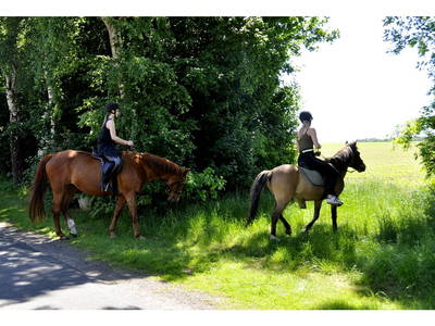 Bild 6 aus  Ferienhof Borchers