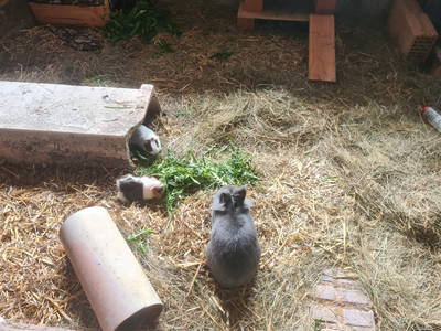 Bild 17 aus  Wendelhof