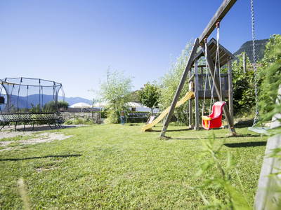 Bild 4 aus  Traubenhof    Pures Leben-Echt und natürlich